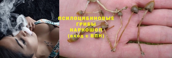 скорость Бронницы