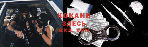 не бодяженный Бородино
