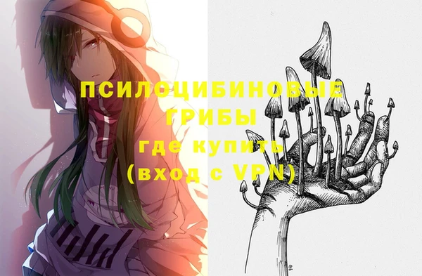 скорость Бронницы
