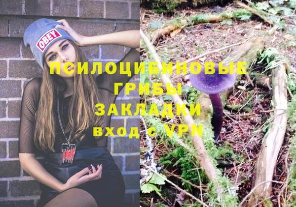 скорость Бронницы